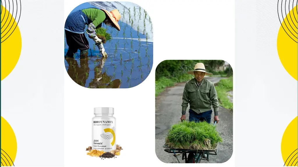 Organic Weight Loss: Healthy & Sustainable Transformation 5 body