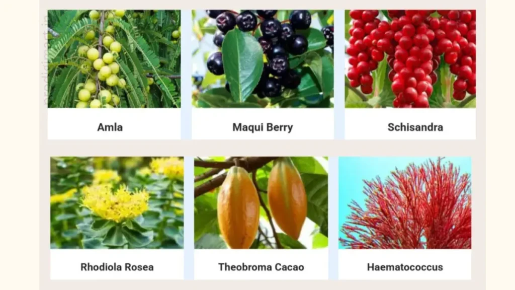 Unlock Your Fat-Burning Power With Mitolyn! 4 mitol